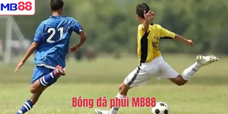 Bóng đá phủi MB88