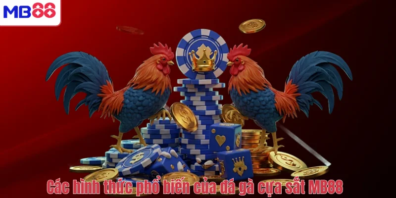 Đá gà cựa sắt là gì? Cách xem đá gà cựa sắt tại MB88 3 Các hình thức phổ biến của đá gà cựa sắt MB88