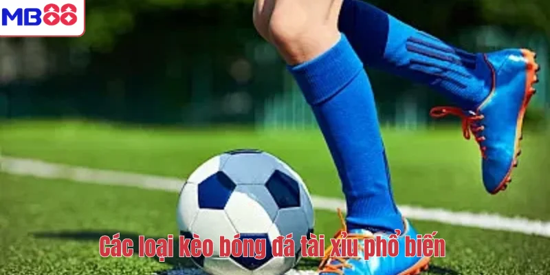 Cách Soi Kèo Bóng Đá Tài Xỉu Chuẩn Nhất Tại MB88 3 Các loại kèo bóng đá tài xỉu phổ biến
