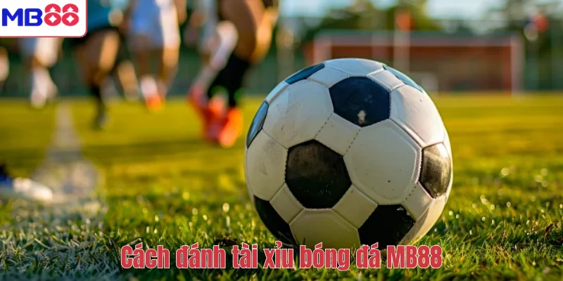 Cách Đánh Tài Xỉu Bóng Đá - Hiệu Quả Cao Tại Nhà Cái MB88 2 Cách đánh tài xỉu bóng đá MB88