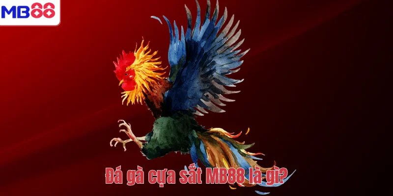 Đá gà cựa sắt là gì? Cách xem đá gà cựa sắt tại MB88 2 Đá gà cựa sắt MB88 là gì?