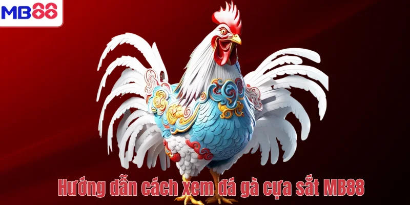 Đá gà cựa sắt là gì? Cách xem đá gà cựa sắt tại MB88 4 Hướng dẫn cách xem đá gà cựa sắt MB88