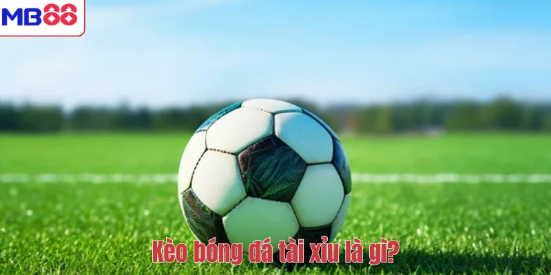 Cách Soi Kèo Bóng Đá Tài Xỉu Chuẩn Nhất Tại MB88 2 Kèo bóng đá tài xỉu là gì?