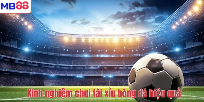 Cách Đánh Tài Xỉu Bóng Đá - Hiệu Quả Cao Tại Nhà Cái MB88 3 Kinh nghiệm chơi tài xỉu bóng đá hiệu quả