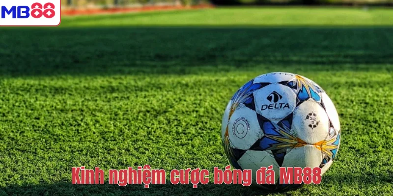 Kinh nghiệm cược bóng đá MB88