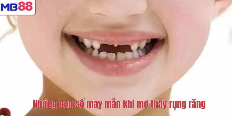 Mơ Thấy Rụng Răng Có Ý Nghĩa Gì? Giải Mã Điềm Báo Cùng MB88 4 Những con số may mắn khi mơ thấy rụng răng