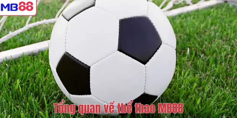 Tổng quan về thể thao MB88