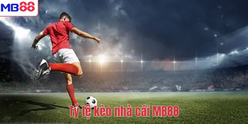 Tỷ Lệ Kèo Nhà Cái MB88 Là Gì? Hướng Dẫn Cách Đọc Chuẩn Xác 1 Tỷ lệ kèo nhà cái MB88