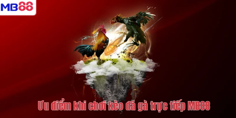Kèo Đá Gà Trực Tiếp MB88 – Cách Chơi Và Kinh Nghiệm Hiệu Quả 3 Ưu điểm khi chơi kèo đá gà trực tiếp MB88